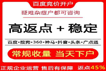 案例研究：SEM代运营服务公司的创新策略